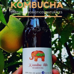 Kombucha KombuLife,  330cc